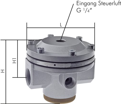 Exemplary representation: Pressure regulator, remote-controlled (volume booster) - Standard